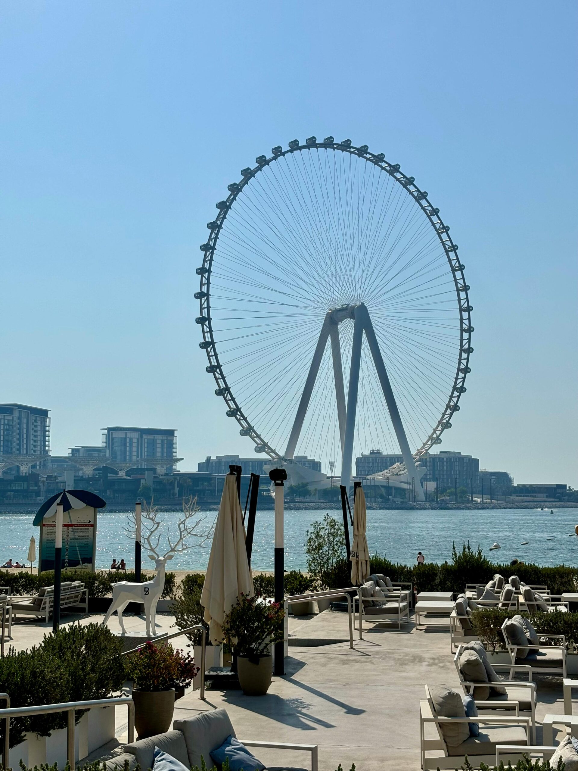 pexels-asi-si-1613023633-28635327